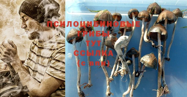 скорость Гусиноозёрск