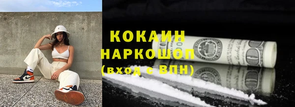 винт Гусь-Хрустальный
