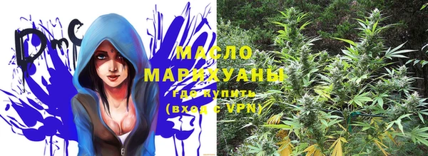 винт Гусь-Хрустальный