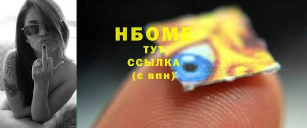 винт Гусь-Хрустальный